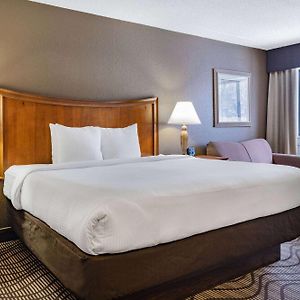 Executive King Room